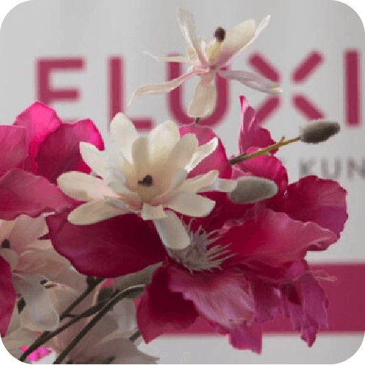 eluxis-home-flower-logo